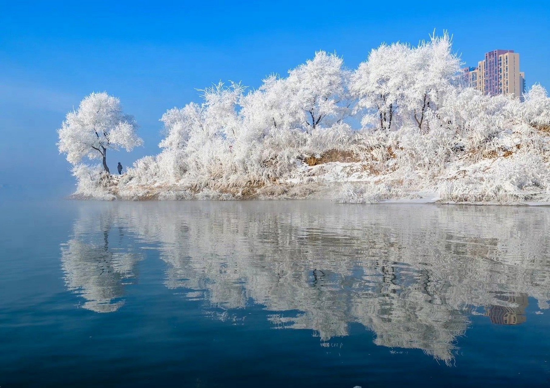 吉林科技，开启未来生活新维度之旅