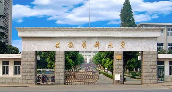 探寻安徽小巷深处的文艺小店秘境