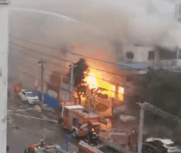 宁夏,心灵绿洲的心灵之旅